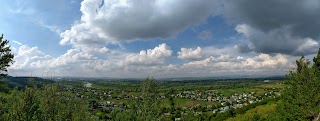 Заповідне урочище Буковий праліс