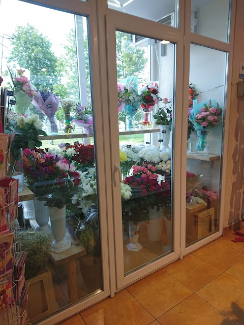 Магазин цветов Антуриум
