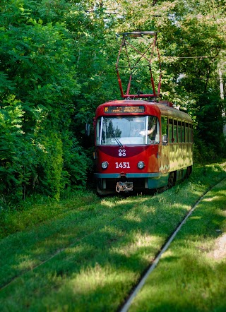 Тоннель любви