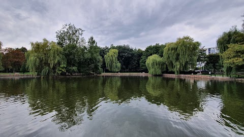 Міський парк ім. Шевченка