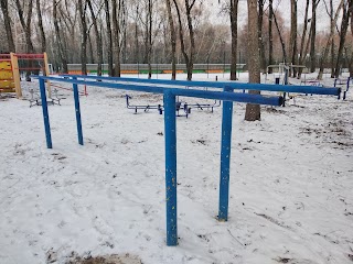 Street Workout