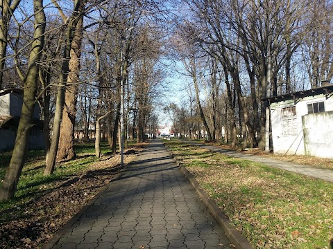 Пам'ятник Тарасові Шевченку