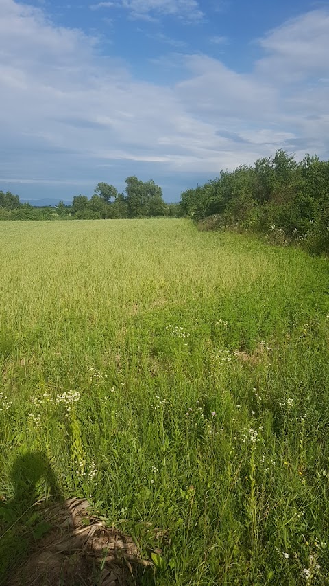 Регіональний ландшафтний парк “Притисянський”