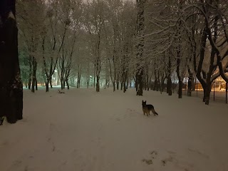 Сквер "Героїв Севастополя"