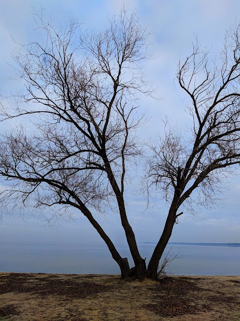 Пляж Тюлень