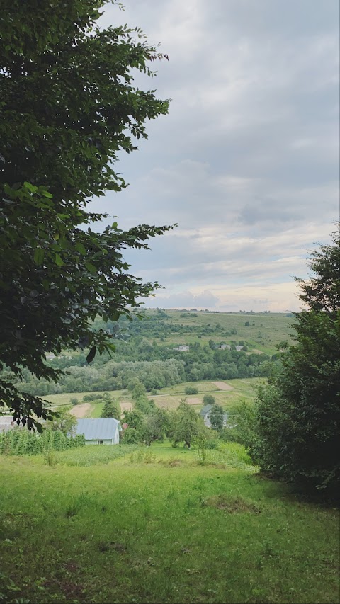 Дерев'яний будинок з банею