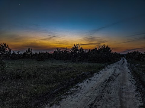 Паньський ліс