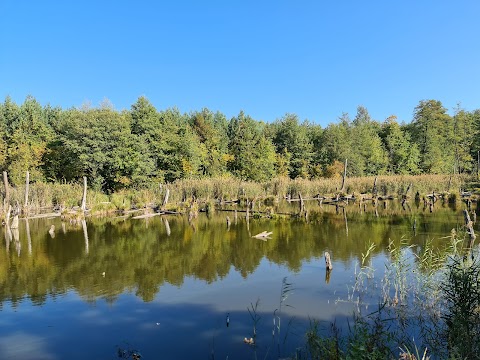 Йосипівський ставок