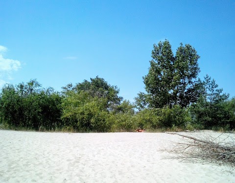Нудистський пляж “Оболонь”