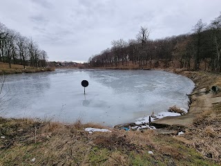 Озеро Лісне