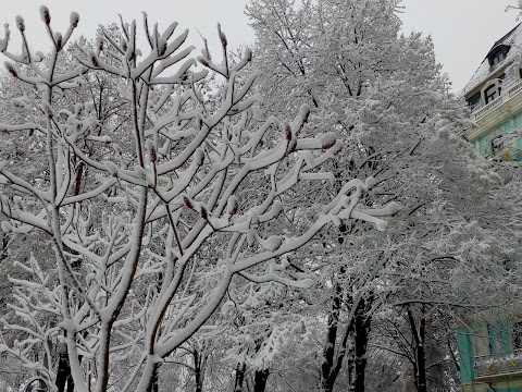 Музей історії Десятинної церкви