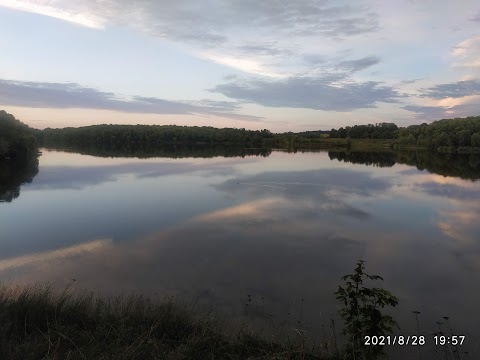 Лісова Волиця Ім. Віталія Струкова