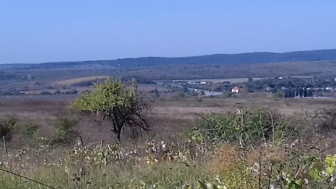 ВЕЛИКОБАКТАНСЬКИЙ ДОШКІЛЬНИЙ НАВЧАЛЬНИЙ ЗАКЛАД І-ІІ СТУПЕНІВ