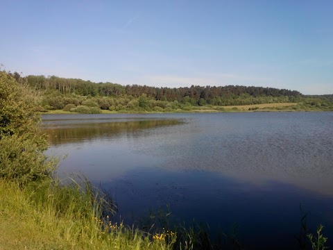 Півник