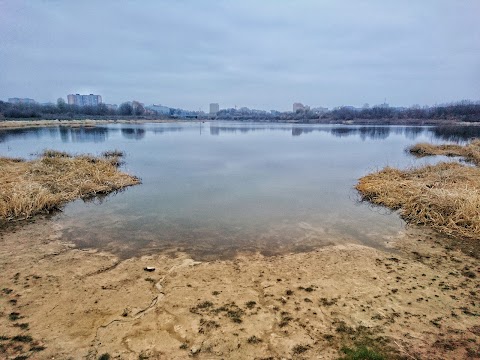 Гнідавське болото