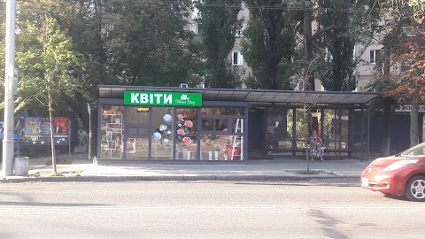 КВІТИ