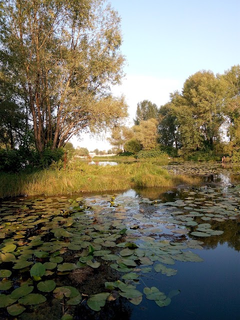 Пляж затоки Собаче гирло