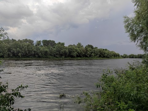 Три піскарі