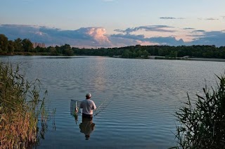 Міністерка