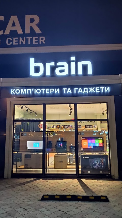 Brain