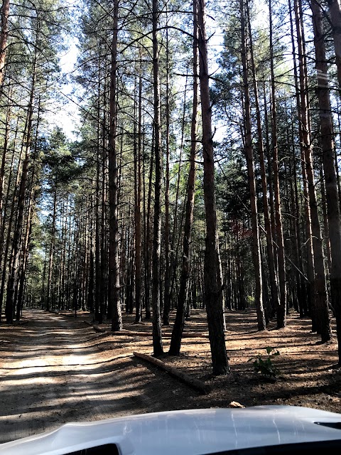 Відпочинок на Київському морі