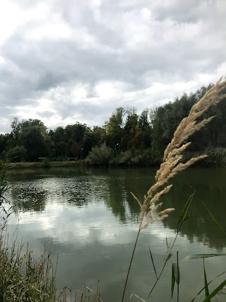 Парк культури і відпочинку