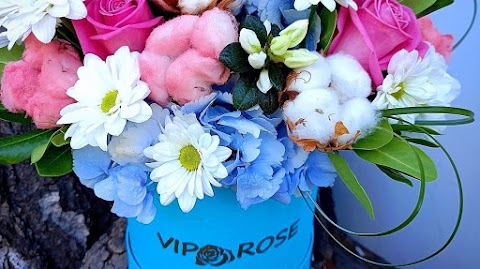 Vip Rose