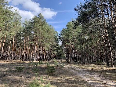 Турбаза «Летки»