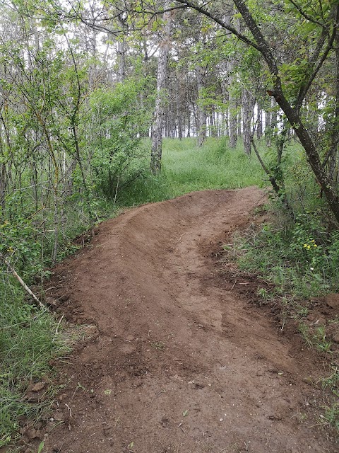 DH Trail