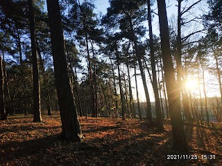 Личаківський парк