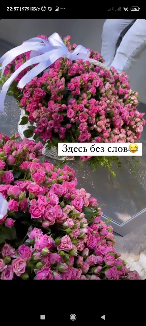 ФлоРита цветы