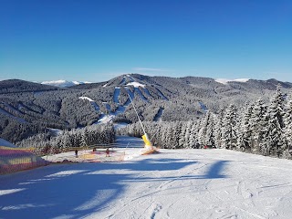 Швидке харчування