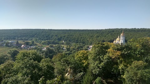 Співоче поле