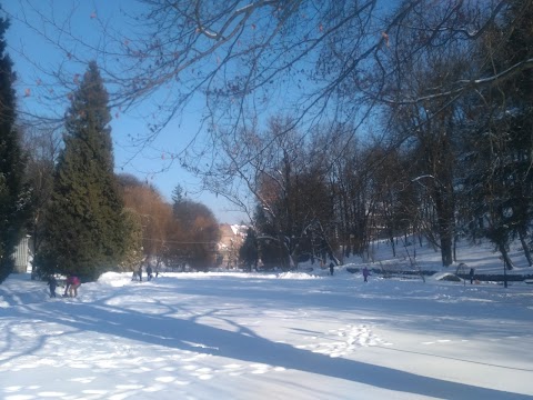 Львівський коледж культури і мистецтв