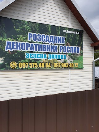 Купити декоративні рослини