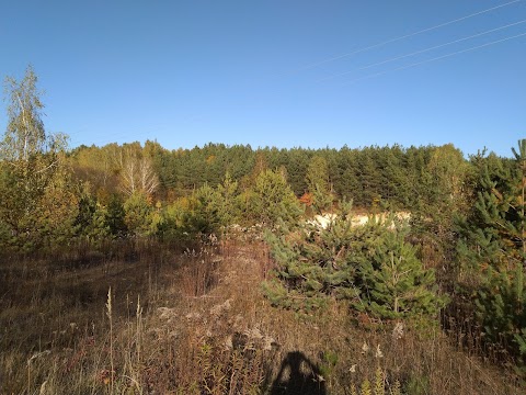 Дермансько-Острозький національний природний парк