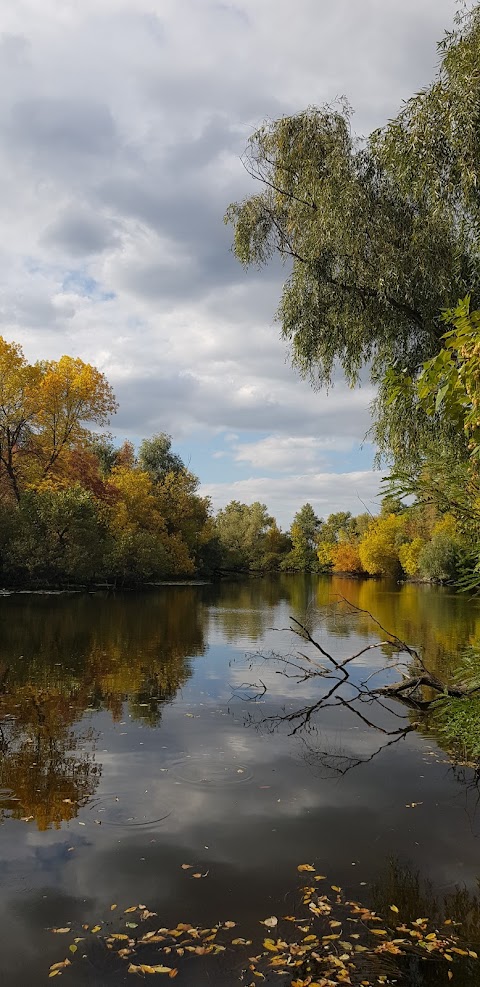 Затока Горбата