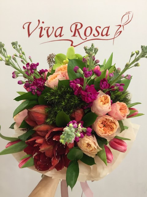 Viva Rosa