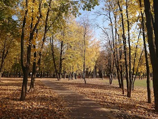 Парк імені Андрія Шевченка