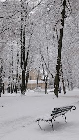 Сквер біля дитячого майданчика