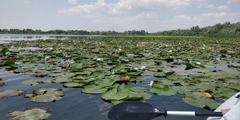 ПАНСИОНАТ "Гармонія"