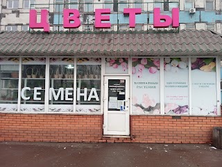 Аленький цветочек