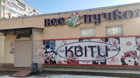 Все Пучком