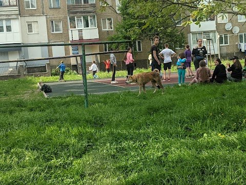 Волейбольний майданчик ім. Ярослава Шевчука та Олега Гривнака