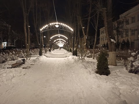 Придністровський державний університет імені Тараса Шевченка