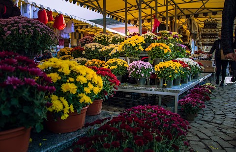 Квітковий ринок
