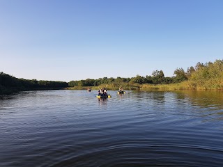 База відпочинку Соснова роща