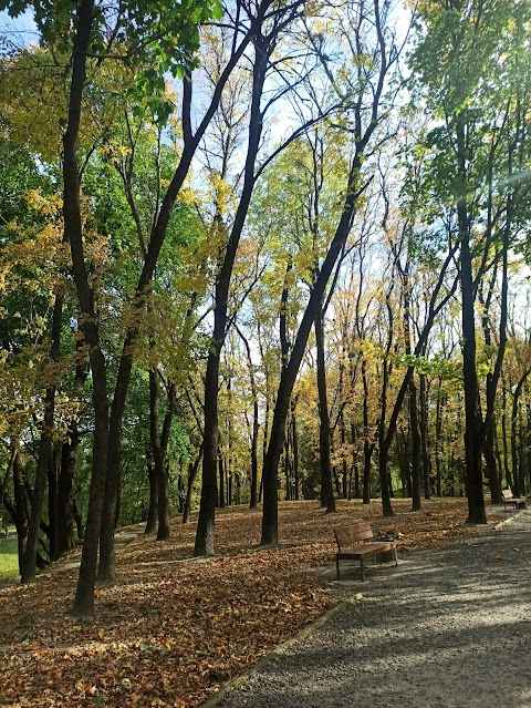 Піскові озера, Львів