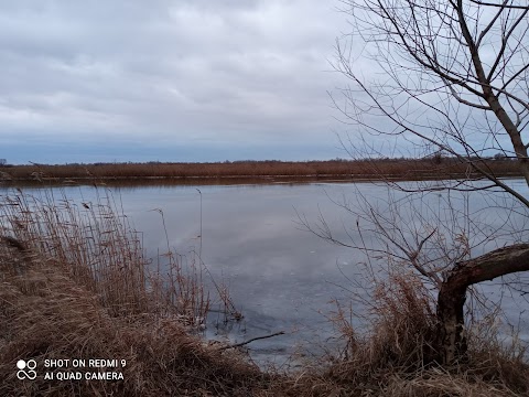 Місце для літнього пікніка