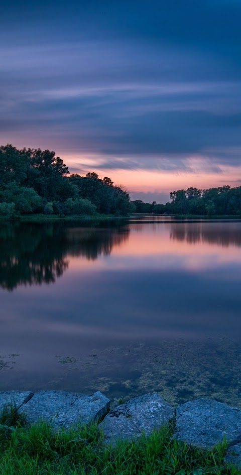 Рудий ліс